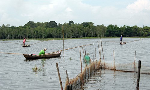 Để sống chung với 